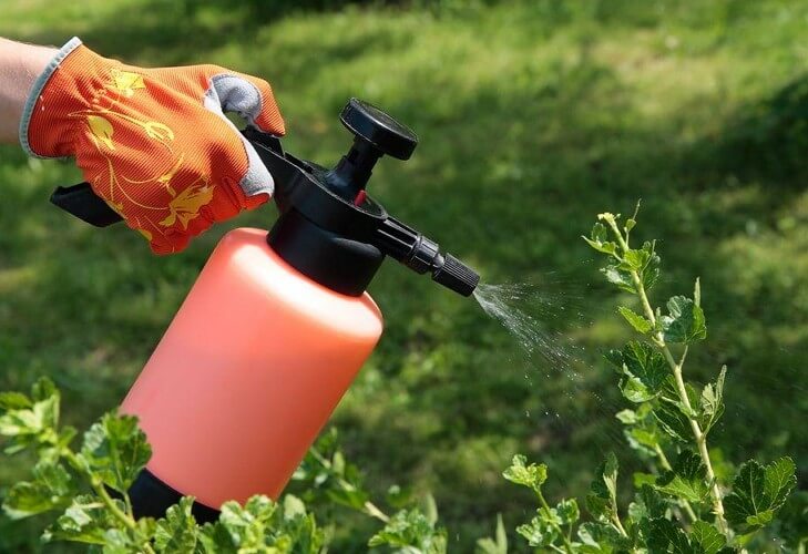 обработка листьев от насекомых