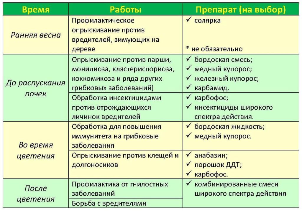 график обработки плодовых деревьев
