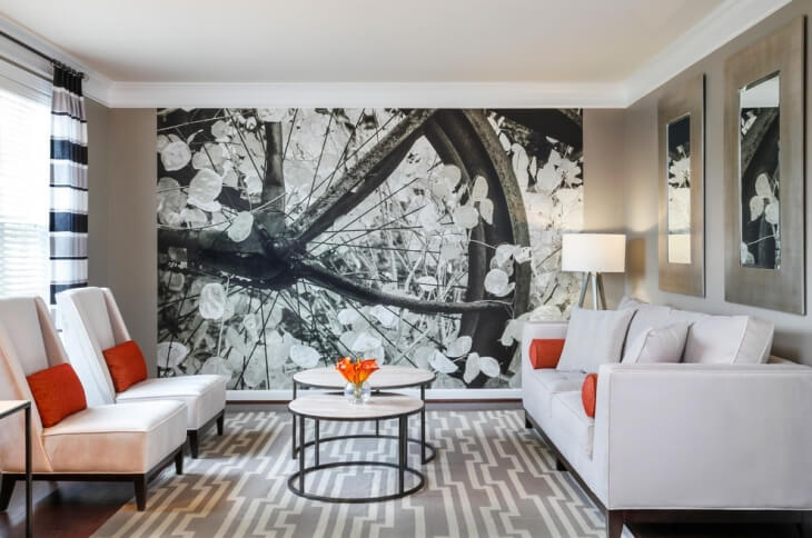 фотообои для стен