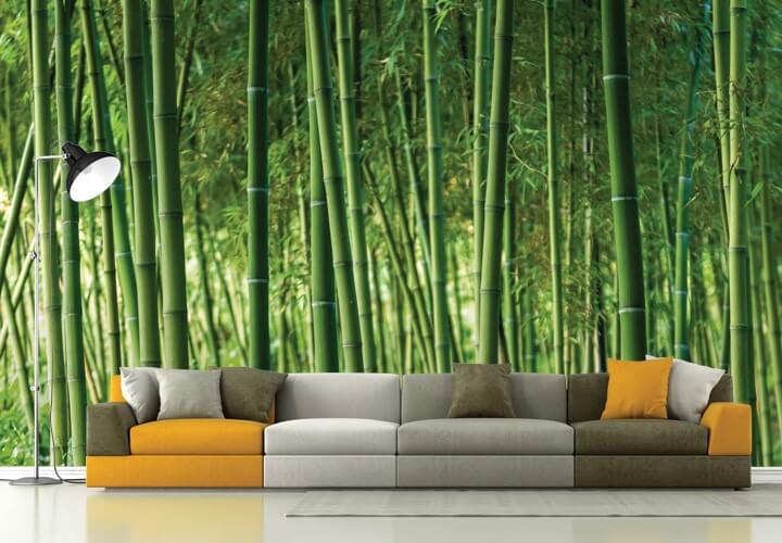 фотообои заросли