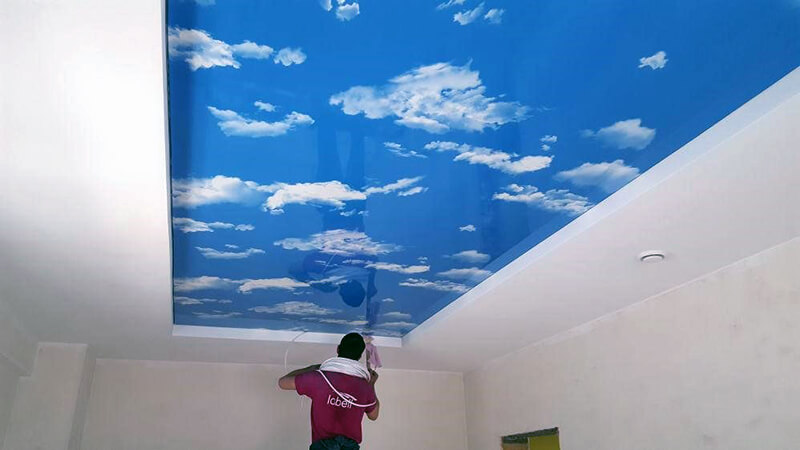 качественные натяжные потолки с мотивами природы