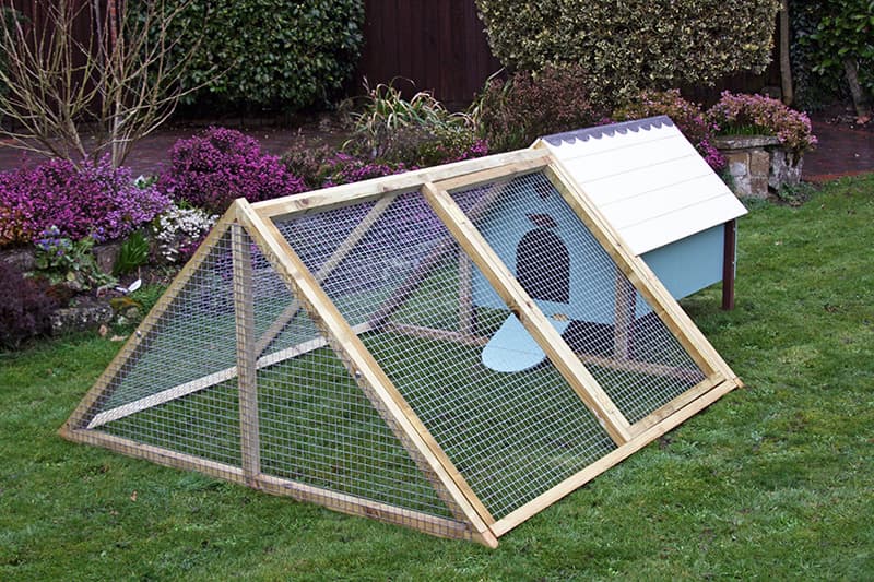 Приклад літнього курника