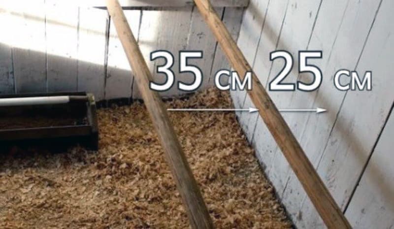 Відстань між сідалами в курнику