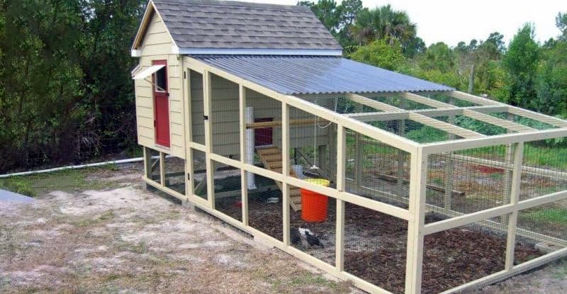 Будівництво курника з територією для вигулу