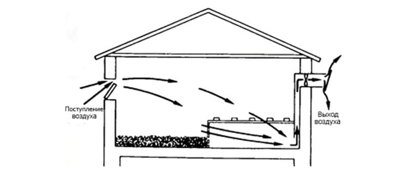 Влаштування вентиляції в курнику