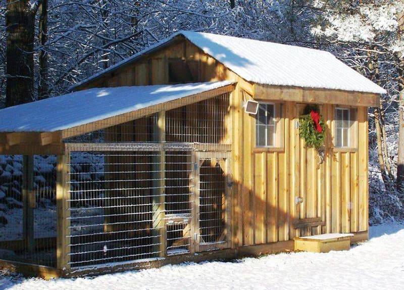 Зимовий варіант курника
