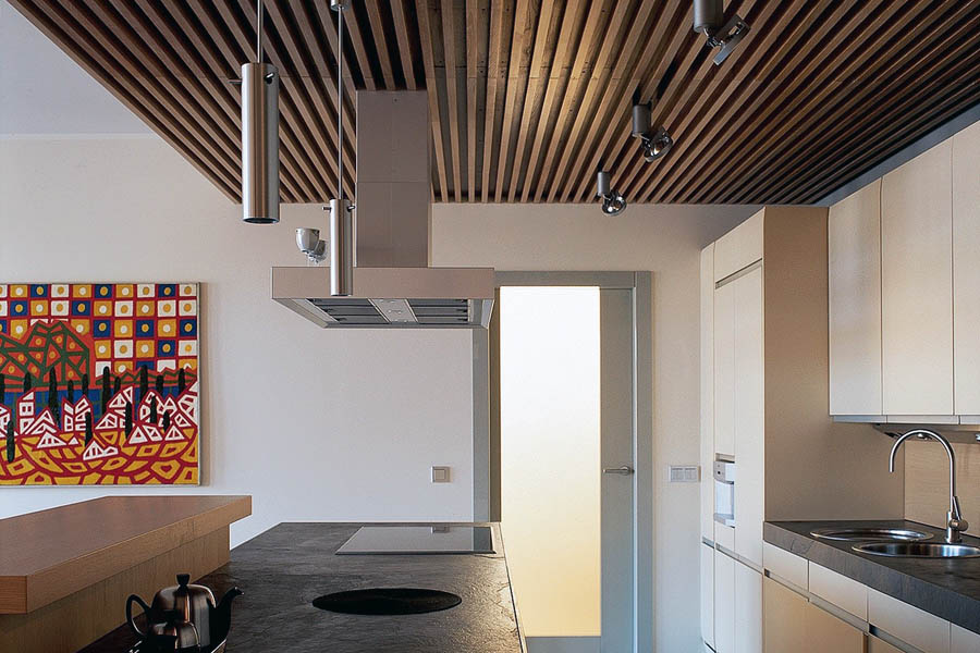 Приклад кухні з рейками на стелі