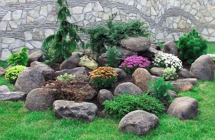 Красиві рослини для середнього ярусу альпійської гірки