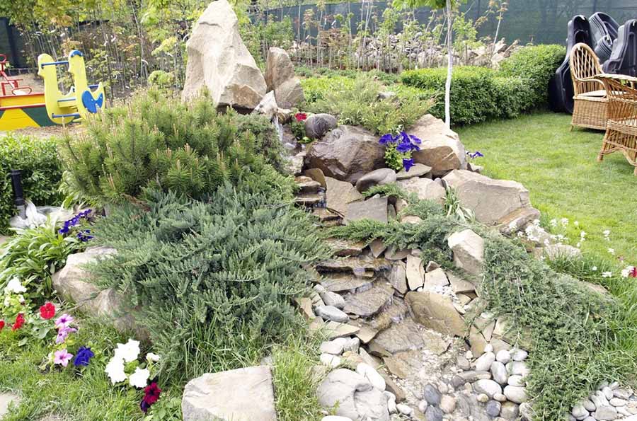 Оформлення альпійської гірки за допомогою чагарників