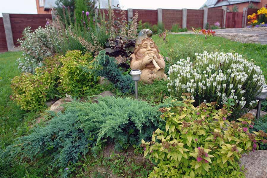 Рослини для вершини альпійської гірки