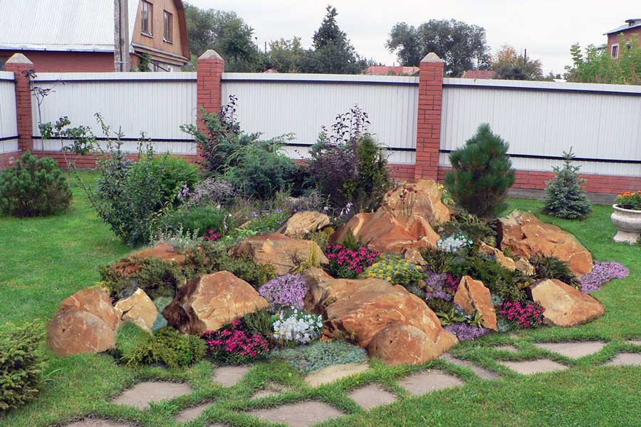 Як вибрати рослини для альпійської гірки