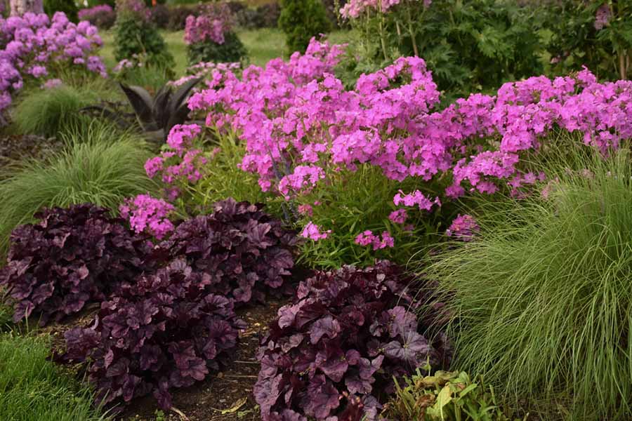 Оформление подножия альпийской горки