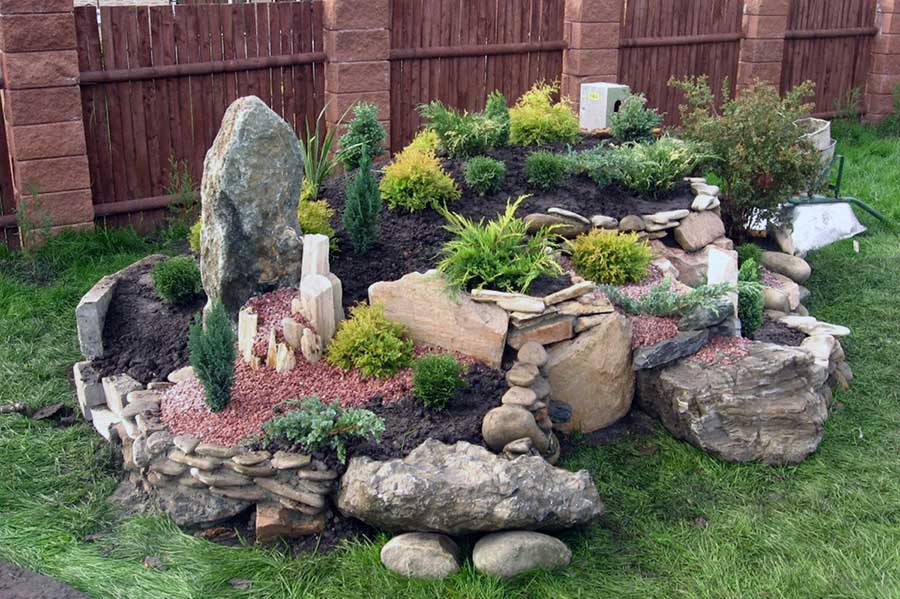 Рослини для середнього ярусу альпінарію