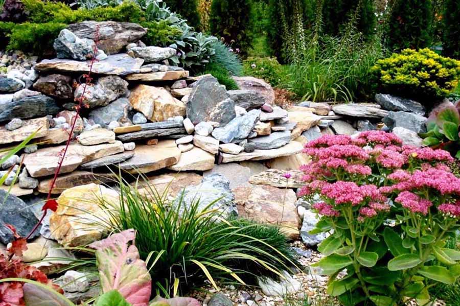 Растения для украшения подножия альпийской горки