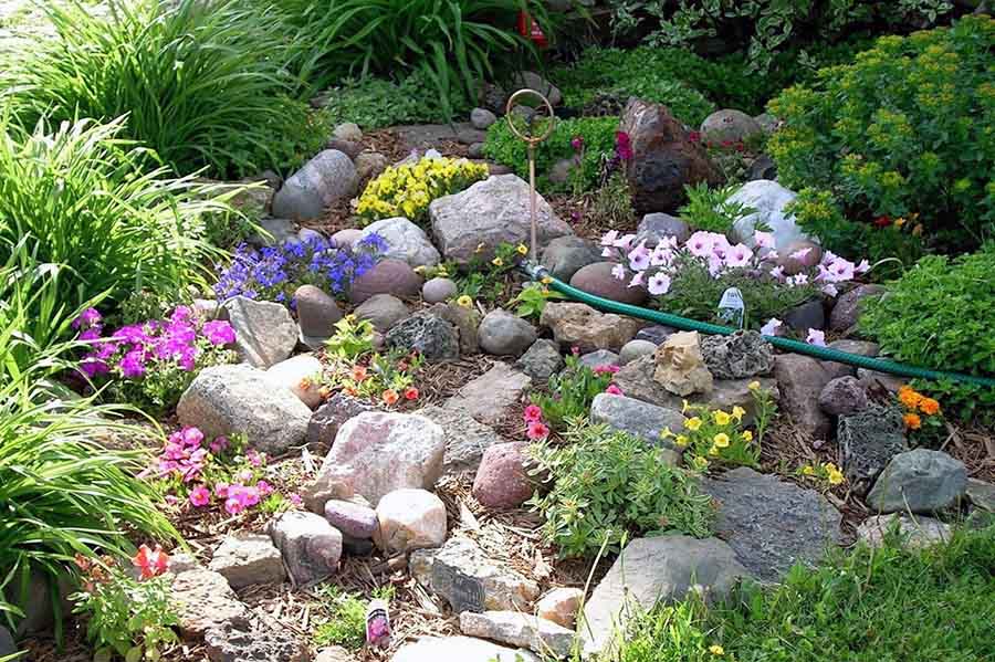 Яркие многолетние цветы для альпийской горки