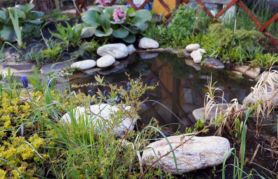 Декоративний ставок із пластику на дачі