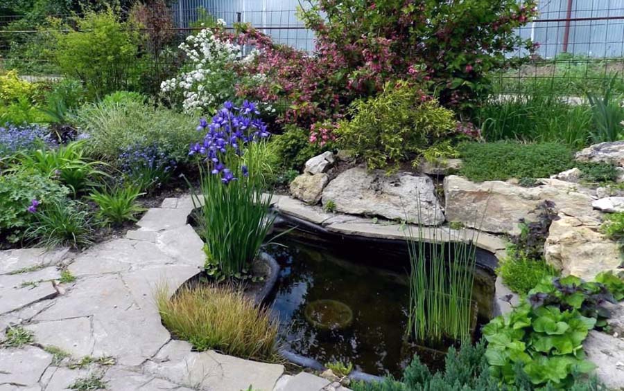 Як оформити декоративний ставок на ділянці