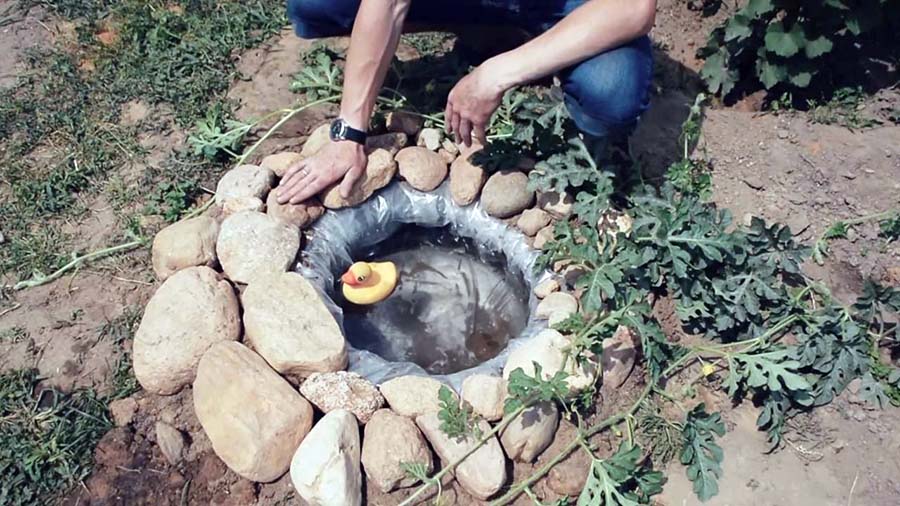 Маленький садовий ставок із підручних матеріалів
