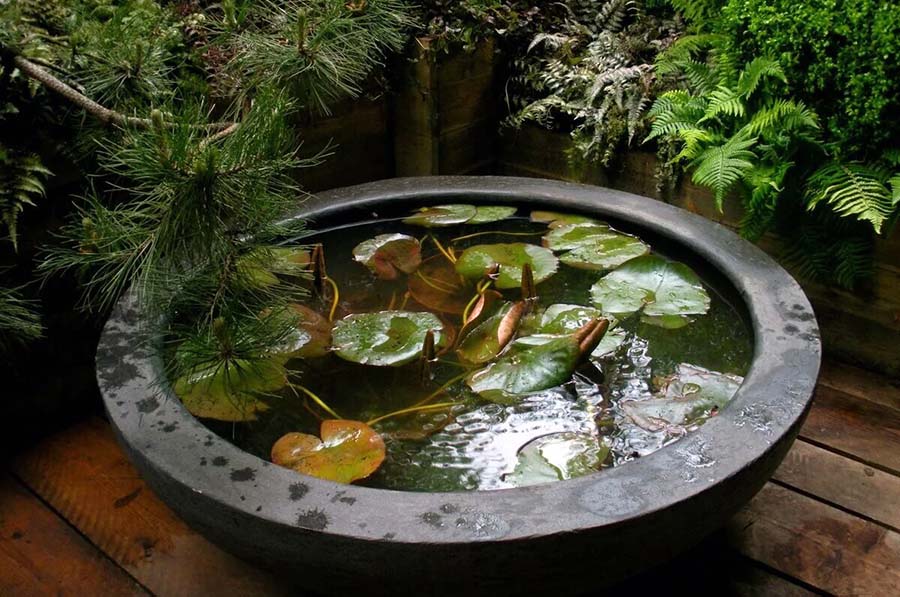 Оформлення водойми з тазу на дачі