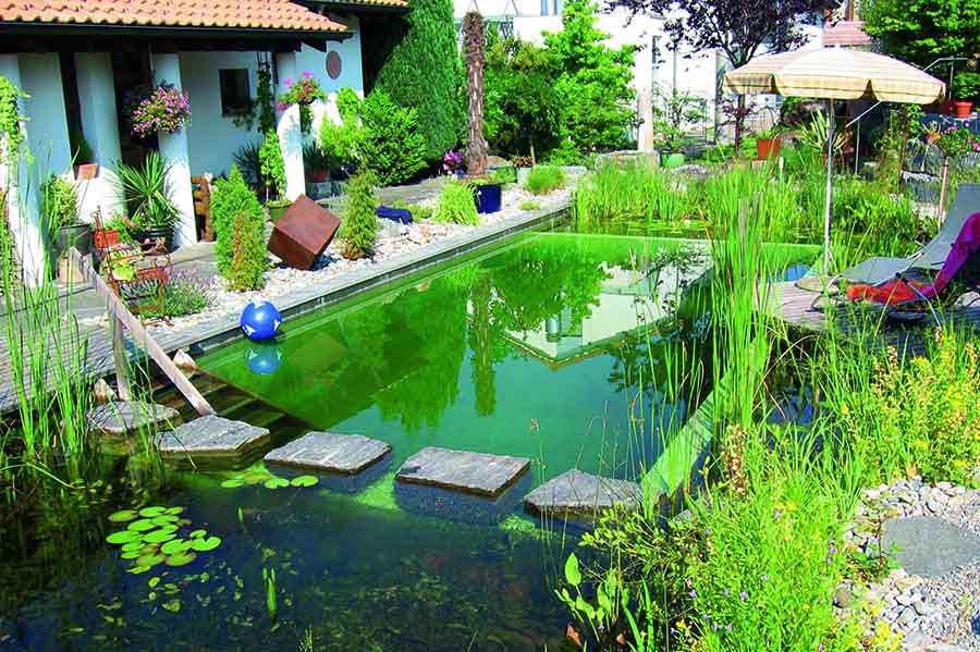 Озеленення ставка для плавання на дачі