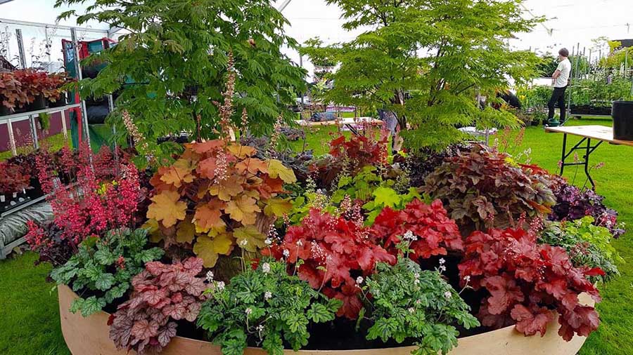 Кругла клумба з квітами на тіньовому боці ділянки