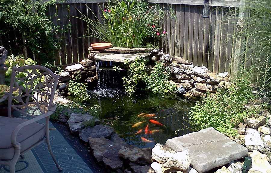 Приклад рибного ставка своїми руками