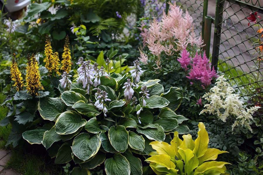 Приклад квітника у тіні