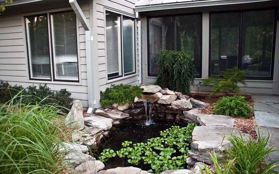 Створення маленького ставка біля будинку своїми руками