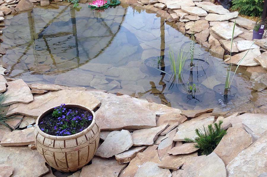 Создание оформления для небольшого пруда на даче