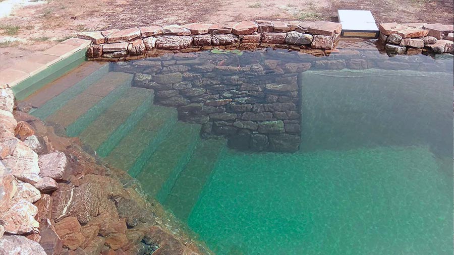 Створення ставка для плавання на дачі