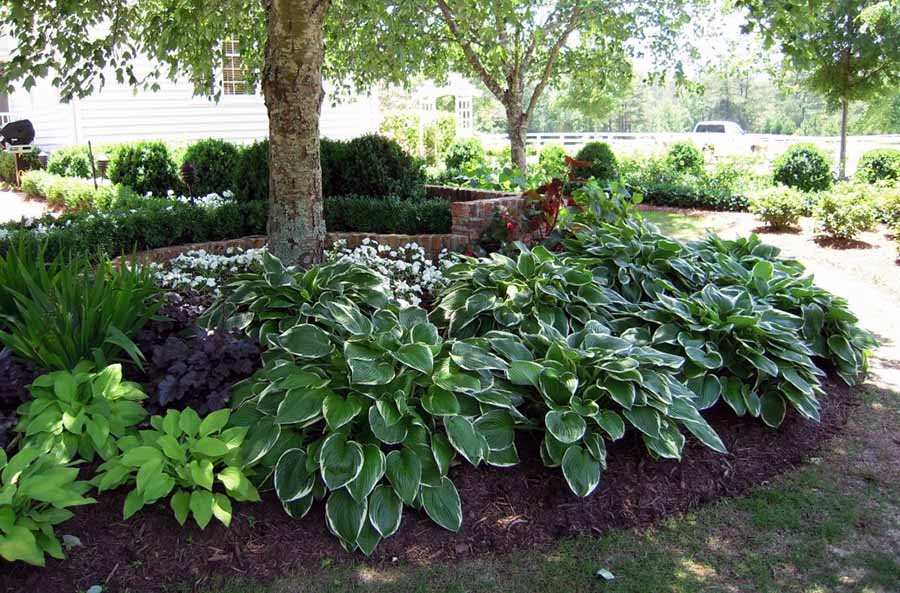 Тіньовий квітник круглої форми