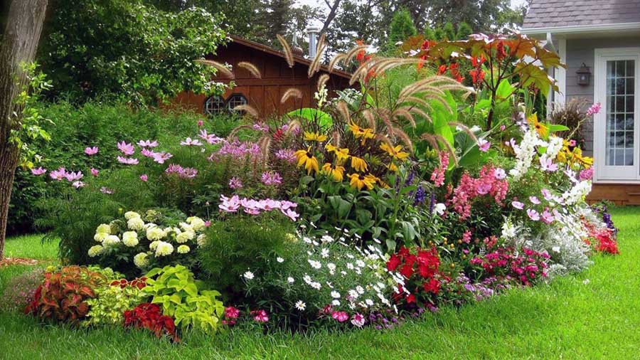 Квітник у тіні з безлічі багаторічних рослин