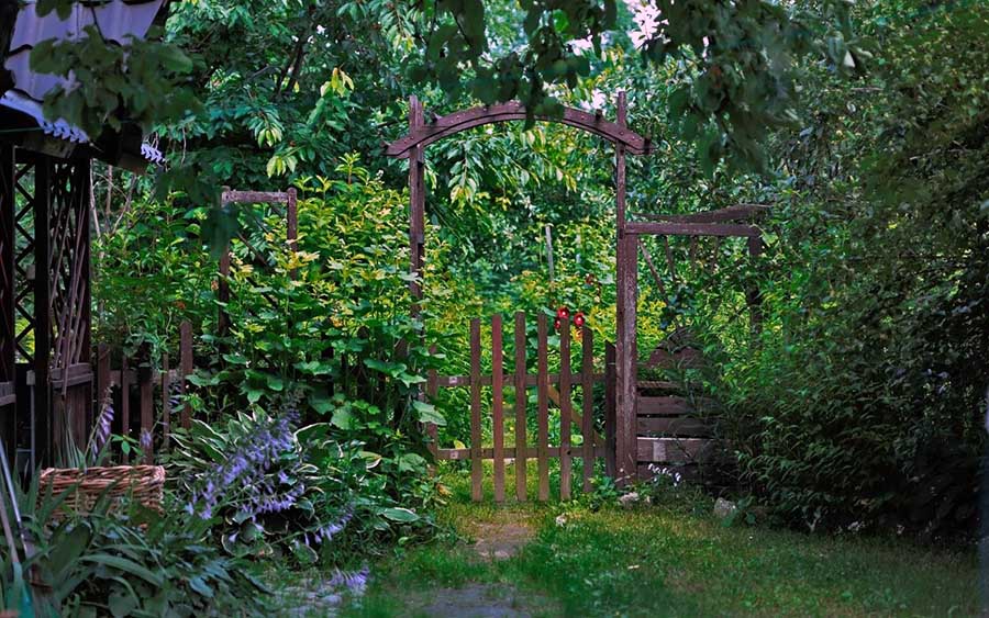 Ділянка у тіні з незвичайним квітником