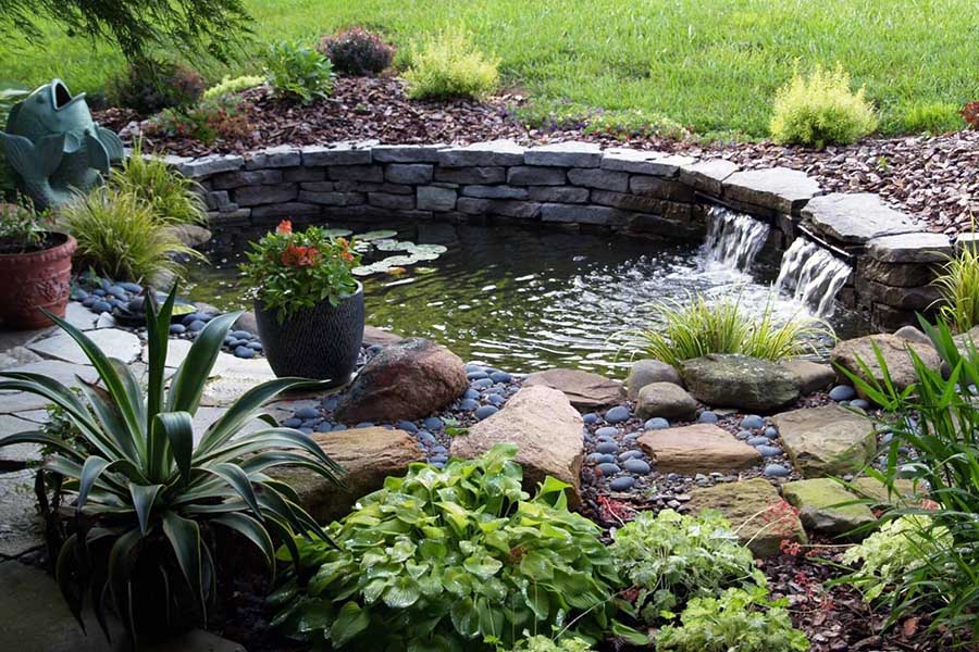 Выбор расположения пруда на даче