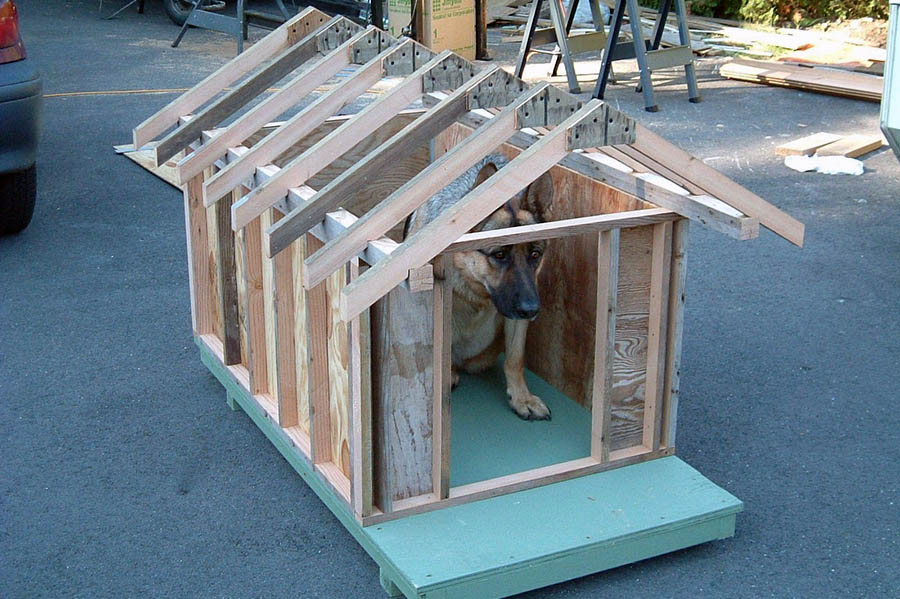 Чи підходить будка вашому собаці