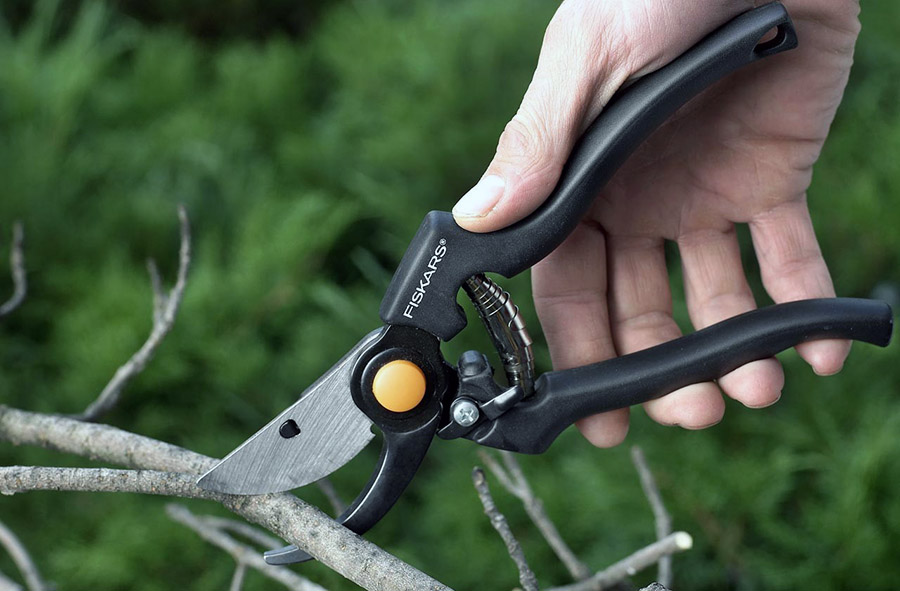 Вибір секатора для обрізки малини восени