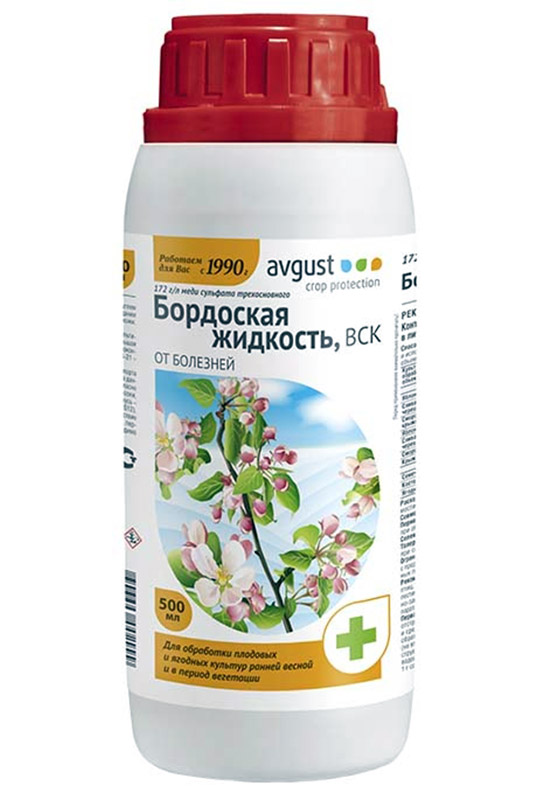 Бордоська рідина для обробки часнику перед посадкою