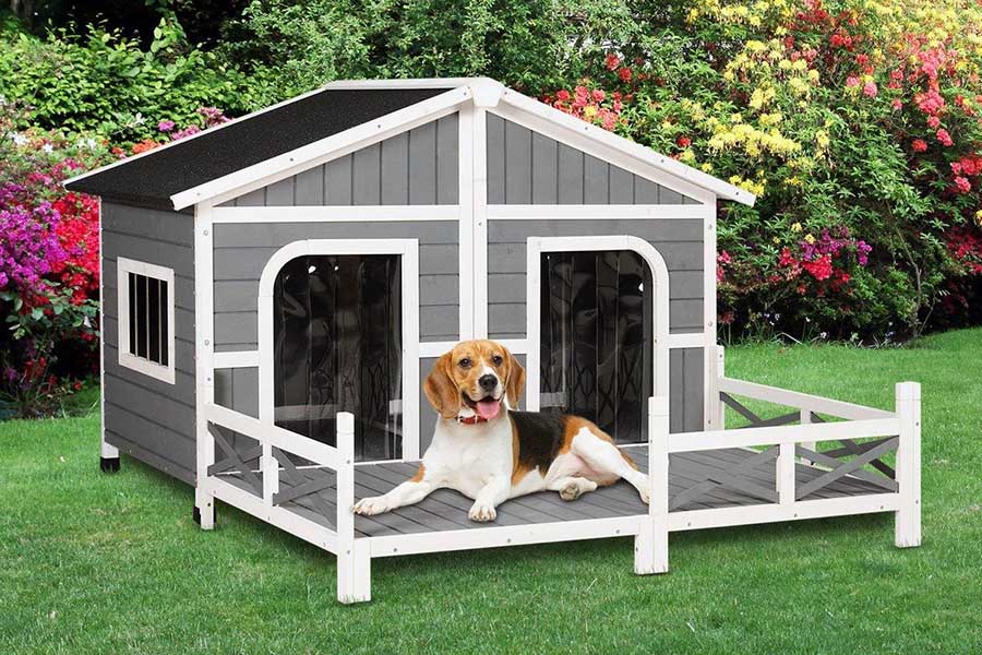 Будка с мансардой для двух собак