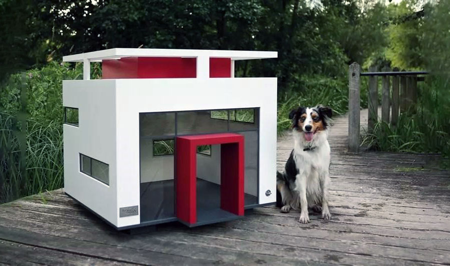 Креативная и современная будка для собаки