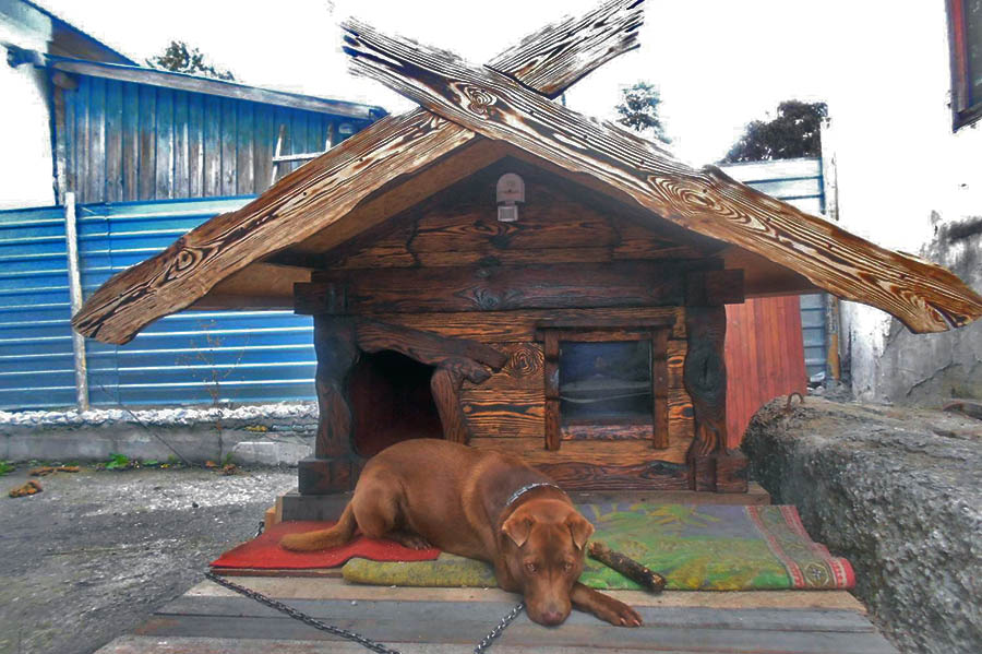 Пример просторной будки из дерева