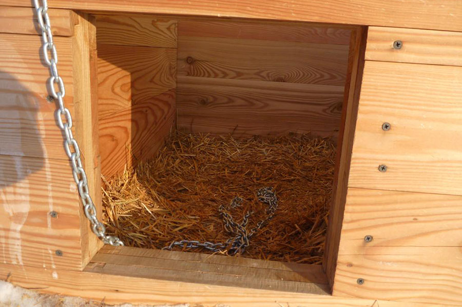 Простая будка с подложкой из сена для собаки своими руками