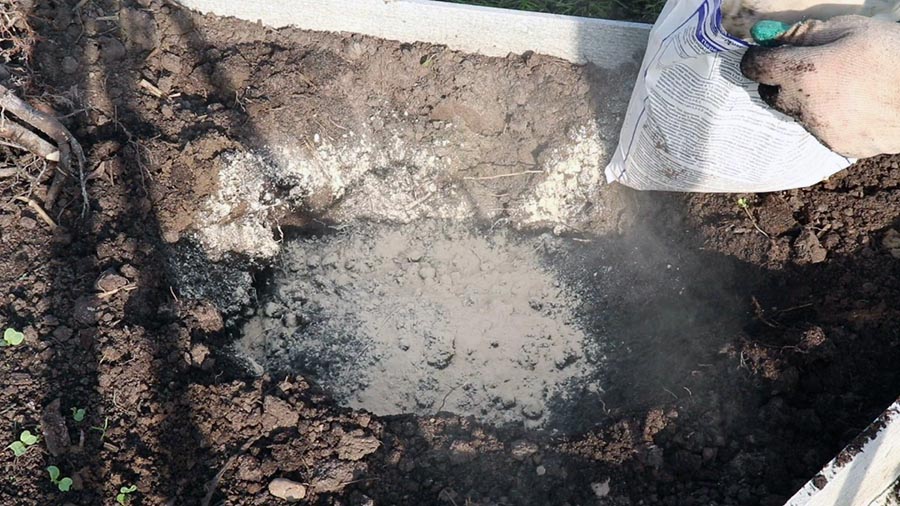 Підготовка ями для пересадки півонії