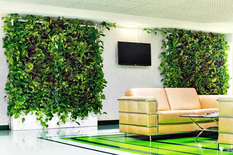 Приклад оформлення живої стіни у приміщенні з екологічним стилем
