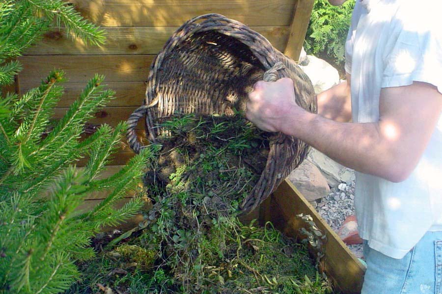 Де краще розмістити компостну яму