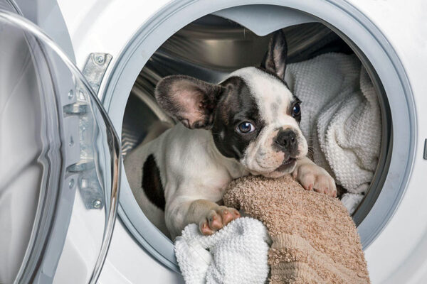 Як ефективно почистити пральну машину?