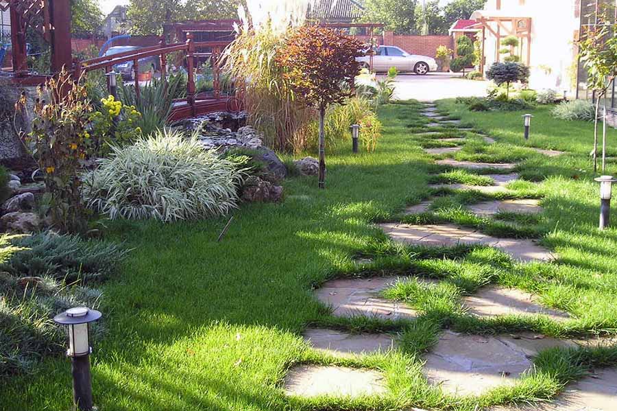 Гармонійна кольорова гама для озеленення двору у приватному будинку