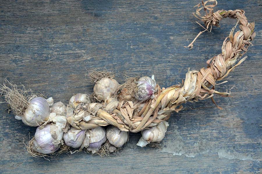 Варіант зберігання часнику в косичці або пучку