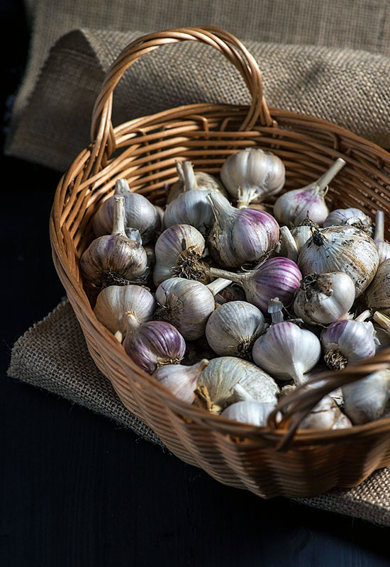 Спосіб зберегти часник до весни у ящику