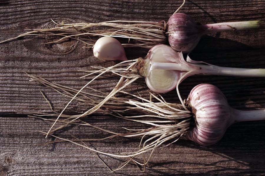 Способи зберігання часнику у вигляді неочищених зубчиків