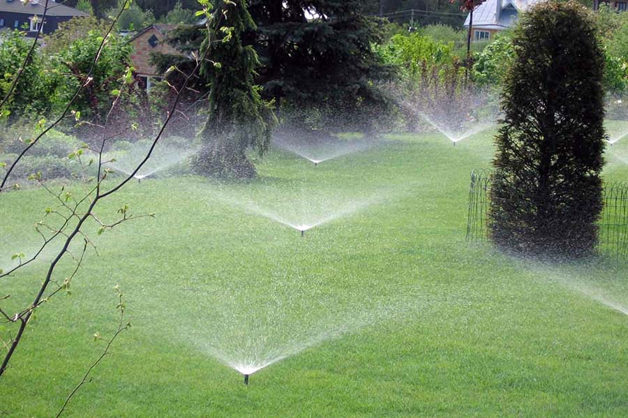 Яка частота поливу на день